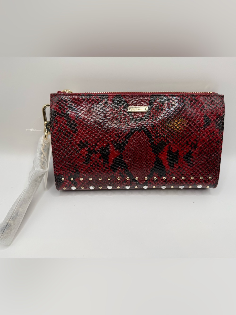 Brahmin Daisy in Red Grandeur